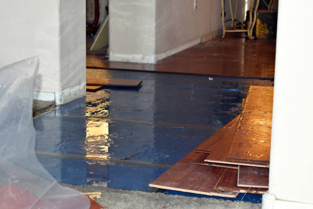 Professional Burst Pipe Cleanup technician working in Modoc, IL